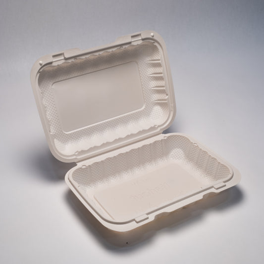 KT-206 -9 inchx6 inchx2.5 inch single-compartment hinged container